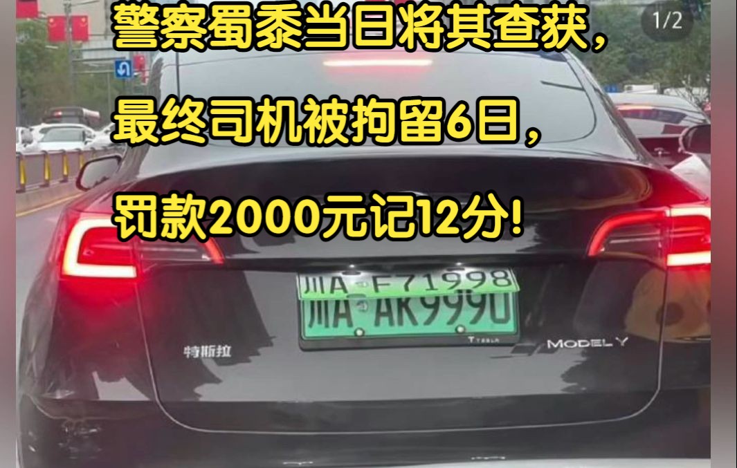 10.11成都,网友爆料:一辆特斯拉套牌露馅引起热议, 警察蜀黍当日将其查获,最终司机被拘留6日,罚款2000元记12分!哔哩哔哩bilibili