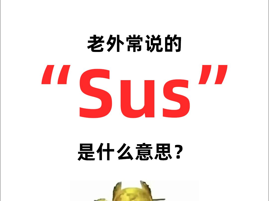 Sus是什么意思?真的很讨厌外国人用缩写哔哩哔哩bilibili