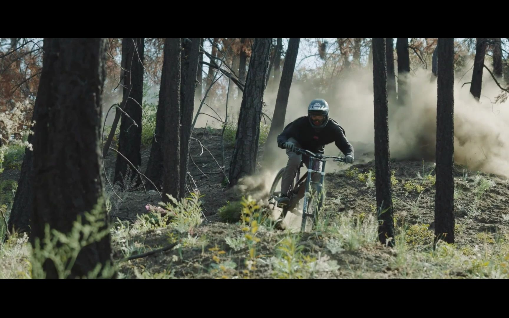 mountain biking madness conquer the trails with grit and glory