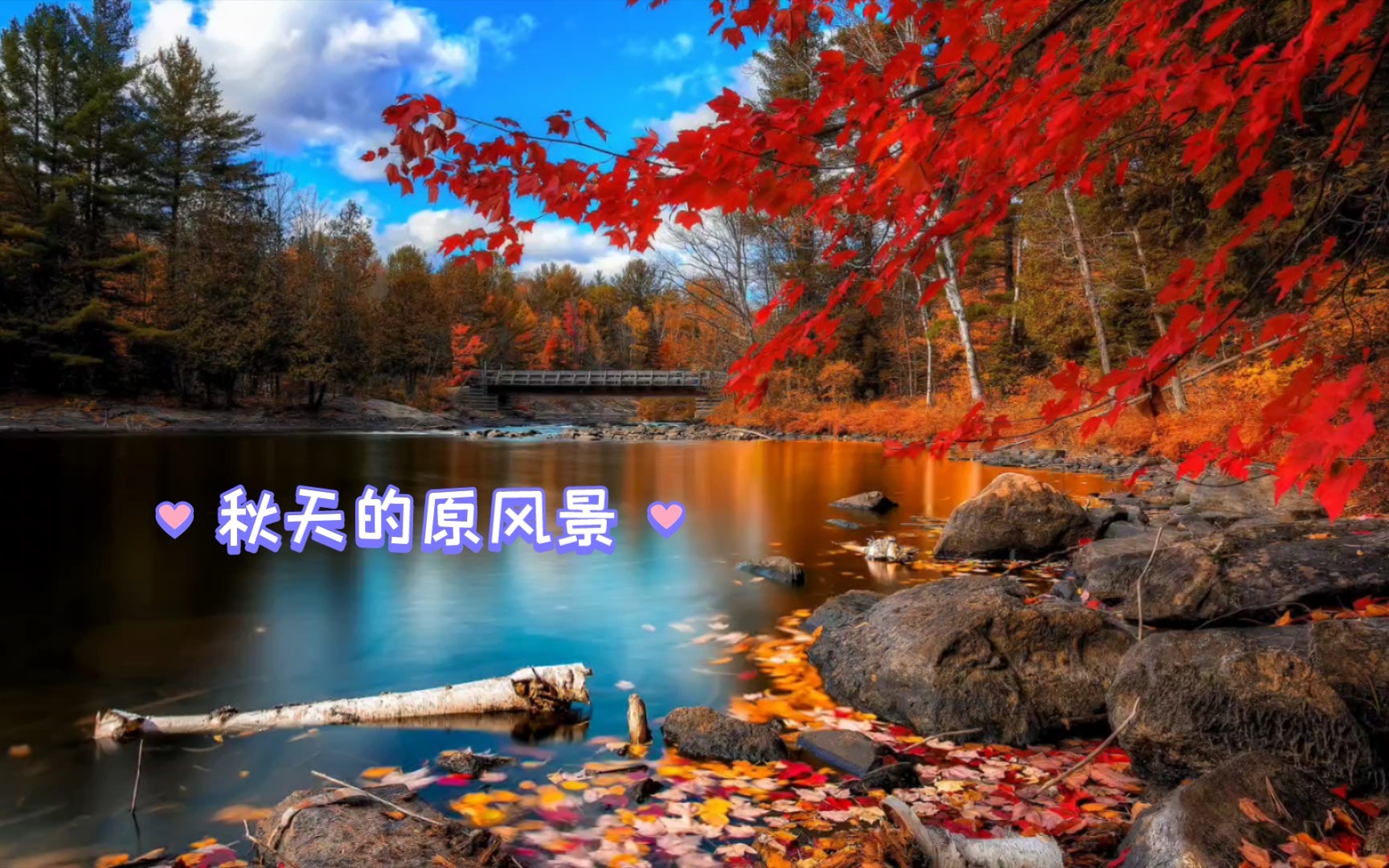 [图]秋天的风景，秋天的原风景如画，故乡秋天的风景。美丽的故乡。