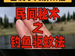 Download Video: 民间秘术之钓鱼驱蚊法