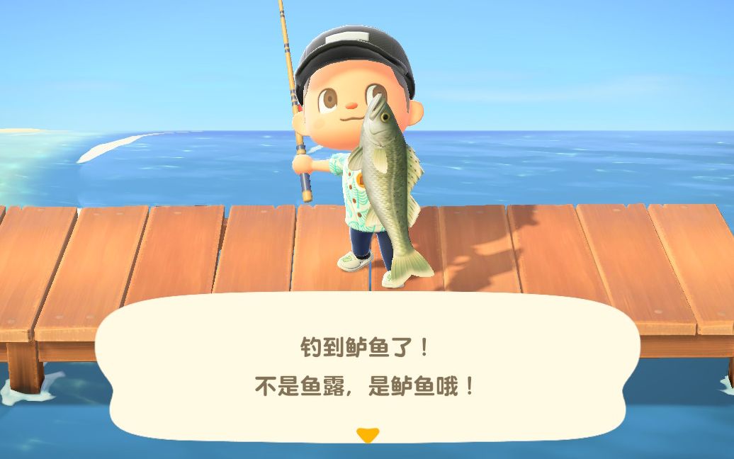 活动作品动物之森鱼判大师