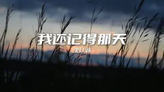 Download Video: 【无损音质】我还记得那天-沈以诚“惆怅的枫叶 拍过我的肩”