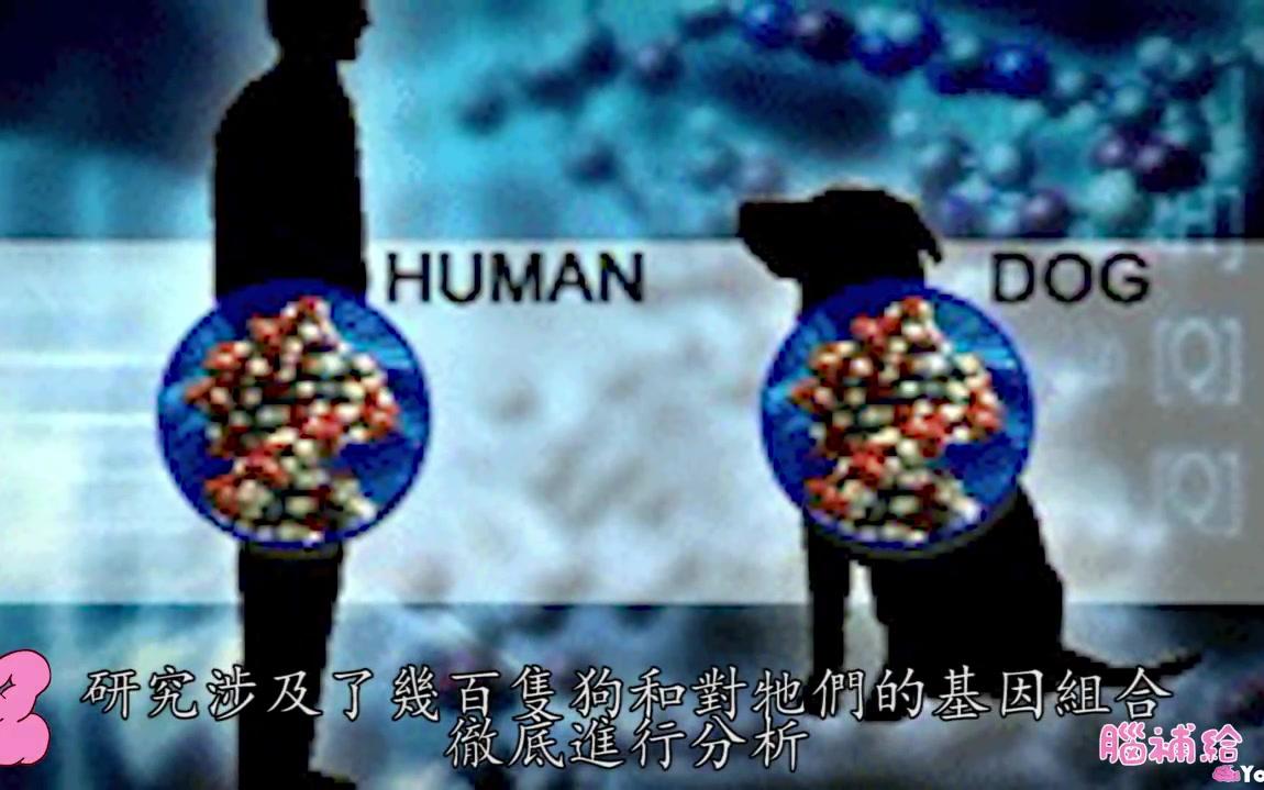 [图]5個驚人的與人類基因類似的物種 (Ft. 大家來找碴)