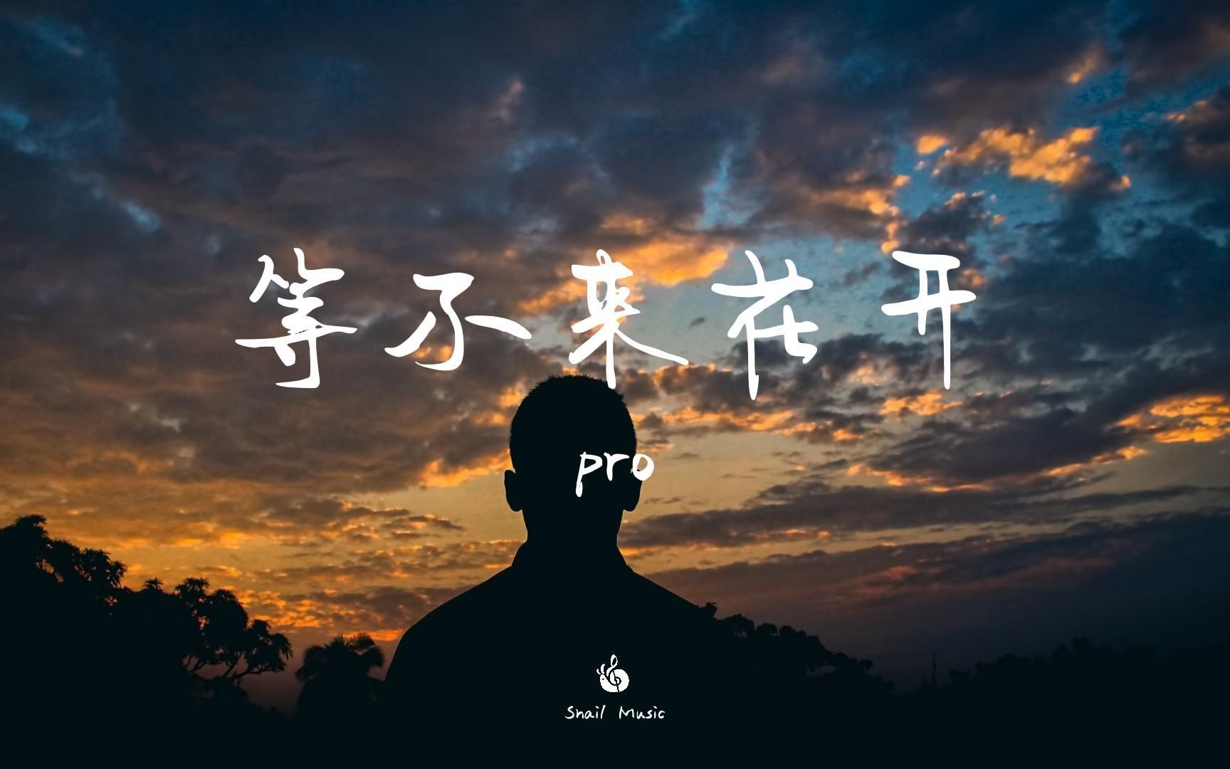 【无损音质】等不来花开-pro「我们的爱就像秋叶等不到花开 我们的爱