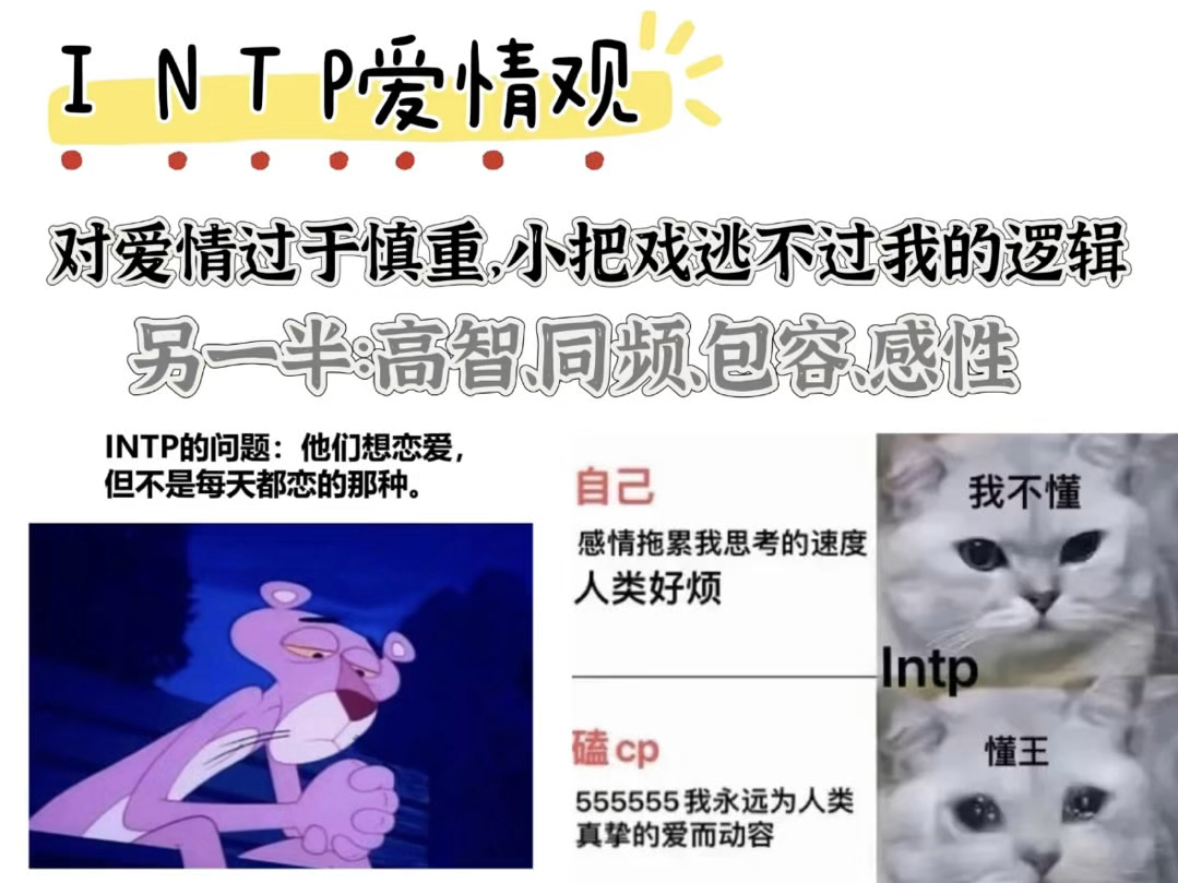 intp 爱情事业观哔哩哔哩bilibili