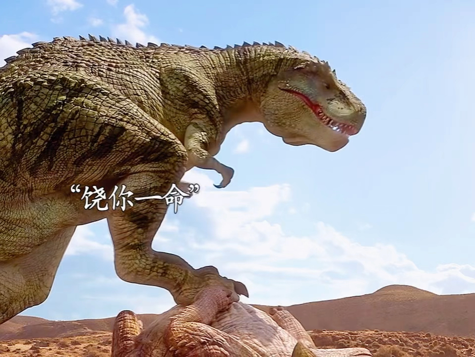 拥有一个又蠢又话痨的 美甲龙.朋友是一种什么体验