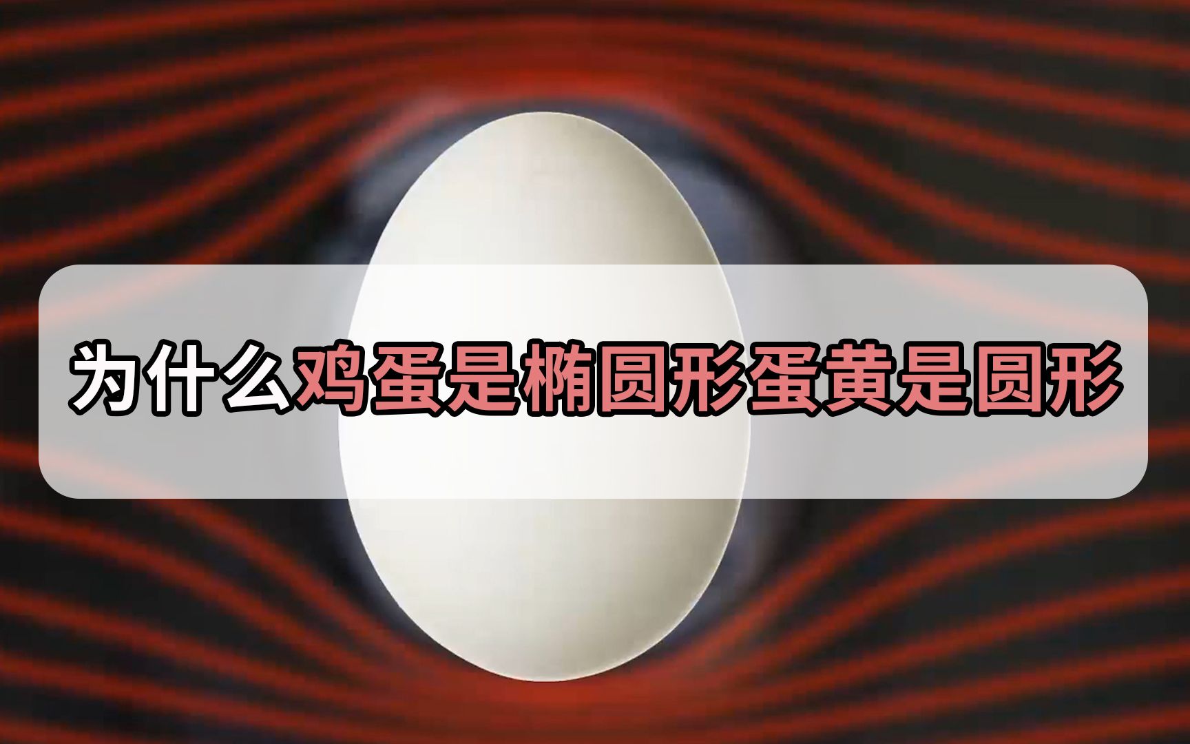 鸡蛋为什么是椭圆的且一头大一头小？ - 知道吧 - 新湖南