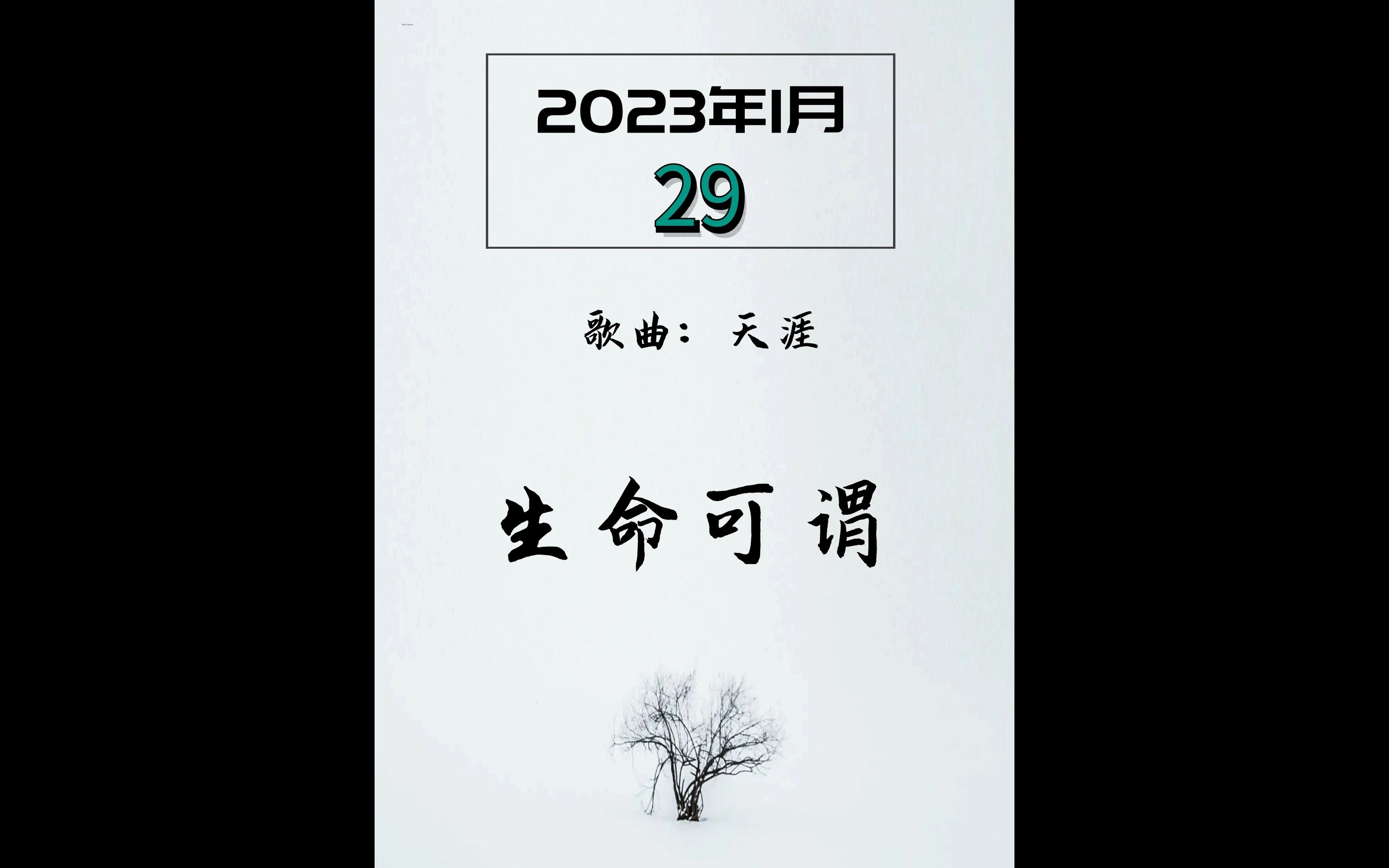 每日文案:20230129天涯哔哩哔哩bilibili