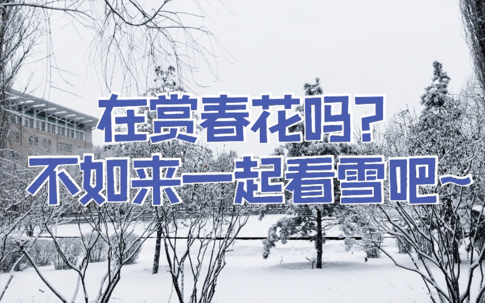 [图]忽如一夜春风来，千树万树梨花开。来和东林林一起看三月的春雪吧~