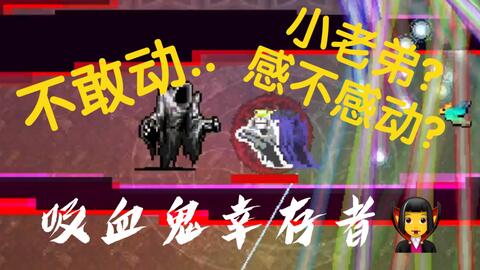 吸血鬼幸存者 217级究极体灰幽灵秒杀灰死神 哔哩哔哩