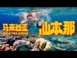 Download Video: 马来西亚🇲🇾沙巴 顶级海岛 仙本那 出海浮潜 旅行总结 | Malaysia Semporna Sabah Snorkeling