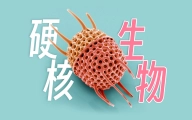 以硅质构筑身体的硬核碳基生物