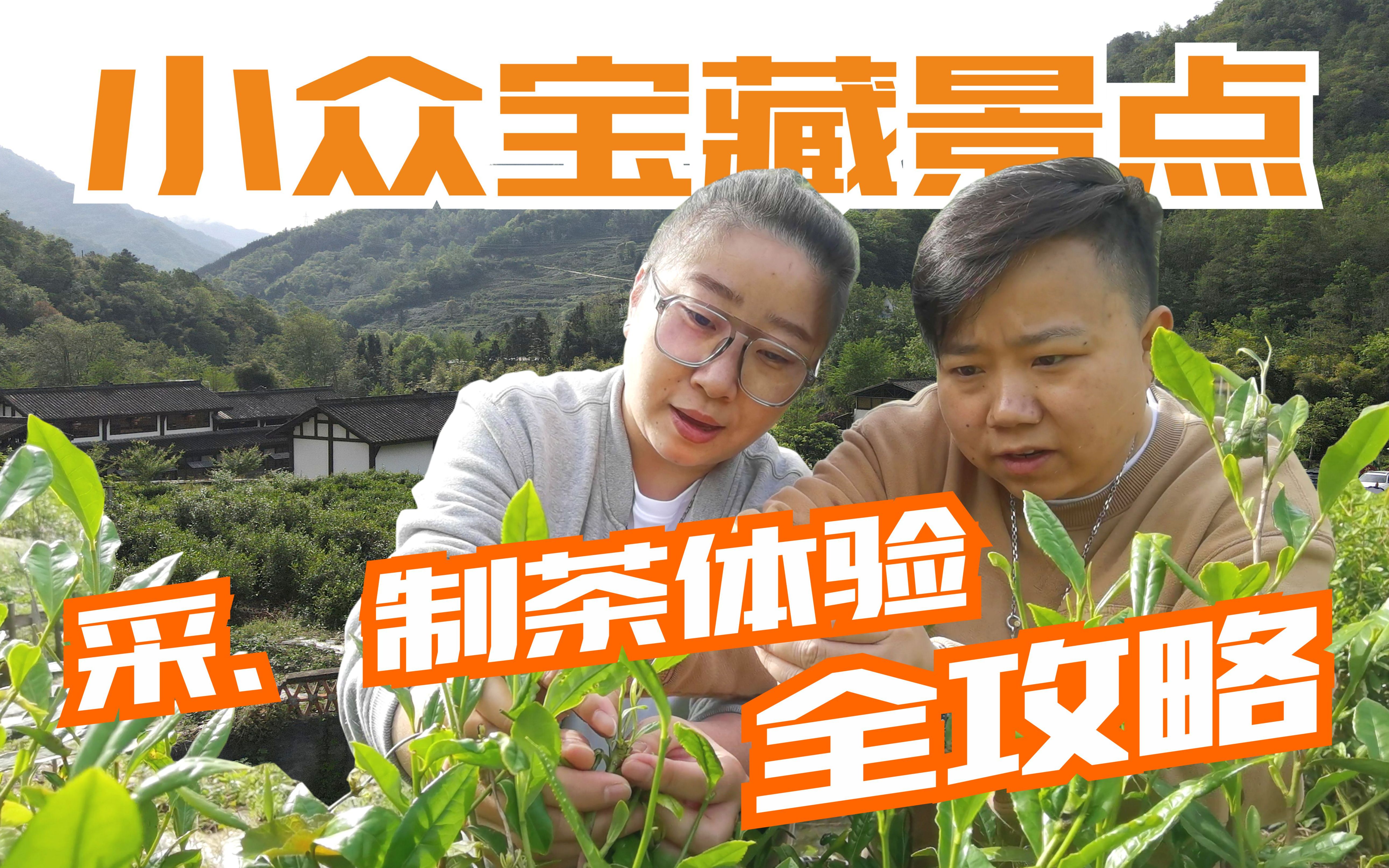 [图]【坐标绵阳】采茶制茶，好吃好玩的小众宝藏地——禅茶清谷全体验攻略！