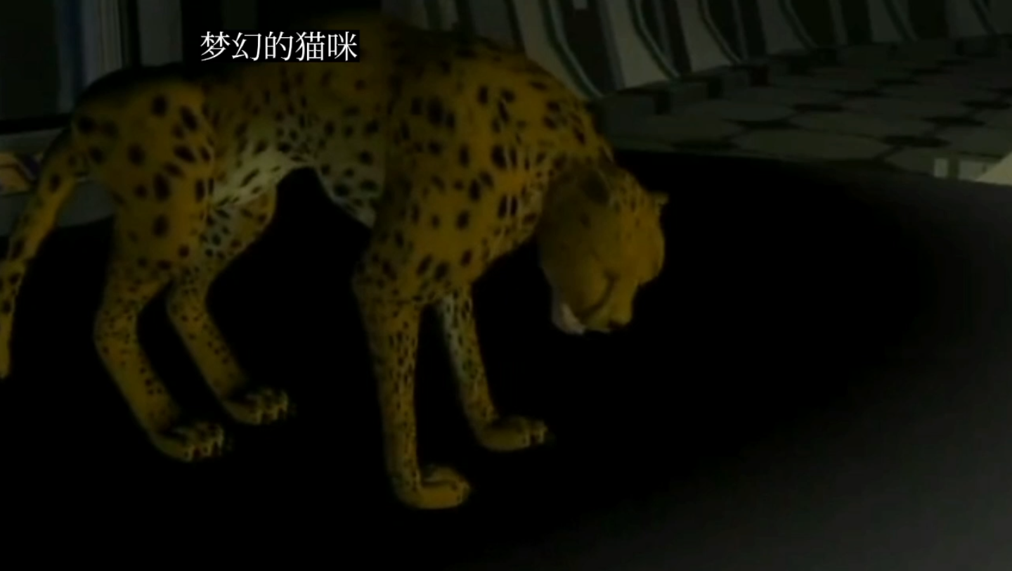 [图]猛兽侠第一集