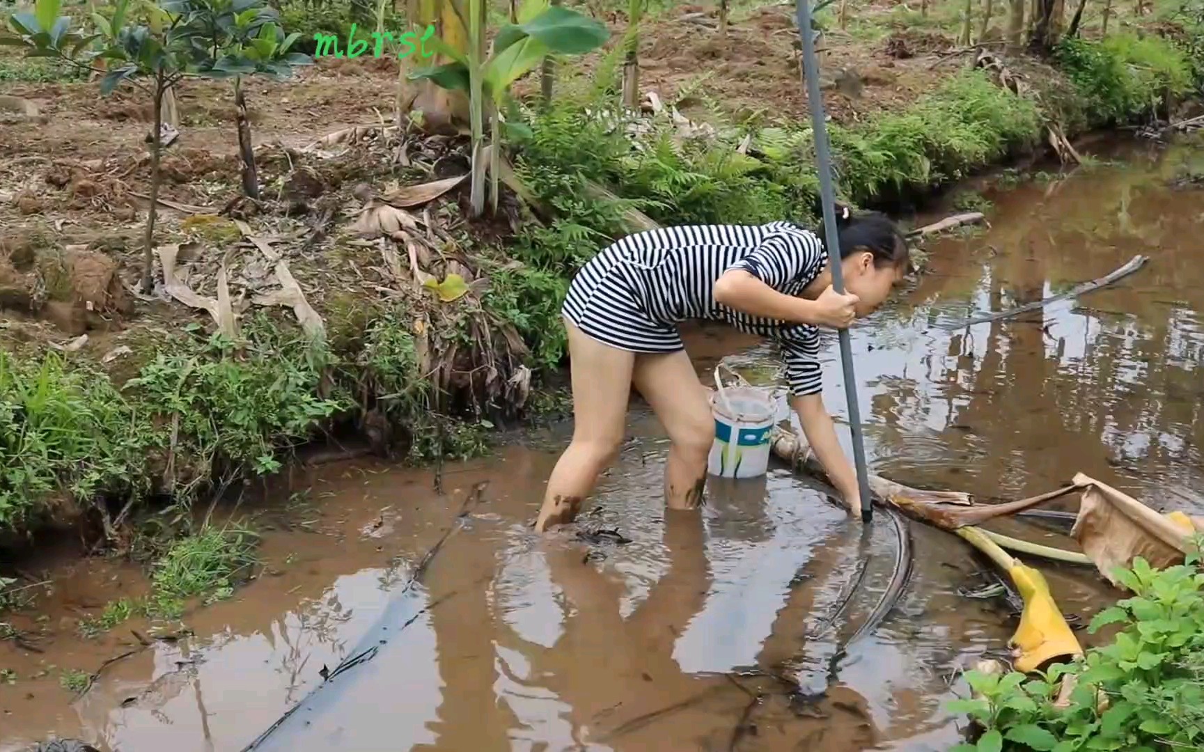 捕鱼生涯图片