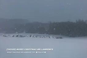 Video herunterladen: 坂本龍一 | 我是一个在黑暗中大雪纷飞的人啊  | Merry Christmas Mr. Lawrence |【1Hour循环】