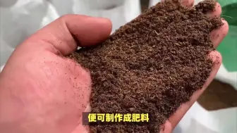 Descargar video: 自制肥料最简单方法 12种方法 优点特性以及缺点详解