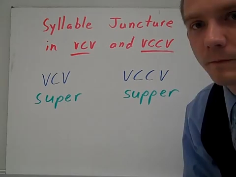 SA Sort 12 Syllable Juncture in VCV and VCCV patterns哔哩哔哩bilibili