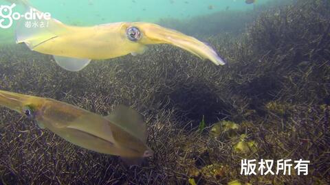 搜索 哔哩哔哩 つロ干杯 Bilibili