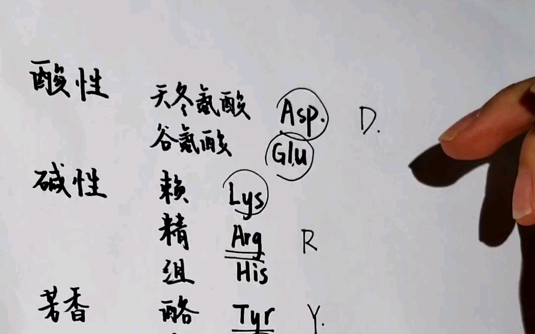 接上文,20种氨基酸单字母缩写哔哩哔哩bilibili