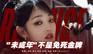 Descargar video: “未成年”绝不是免死金牌！在另一个世界帮助小王子复仇《Revenge》中文填词翻唱【GIDLE】