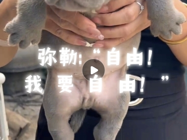 我要自由!哔哩哔哩bilibili