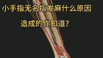 小拇指和无名指发麻是什么原因导致的?应该怎么解决?哔哩哔哩bilibili