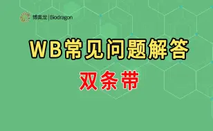 Download Video: WB常见问题解答-双条带