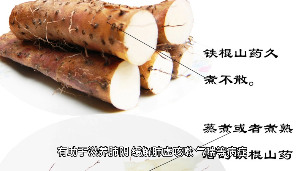 中医里山药的功效