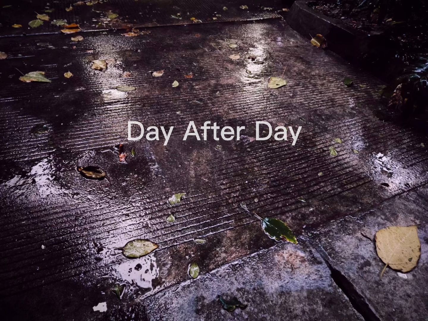 [图]《Day After Day》