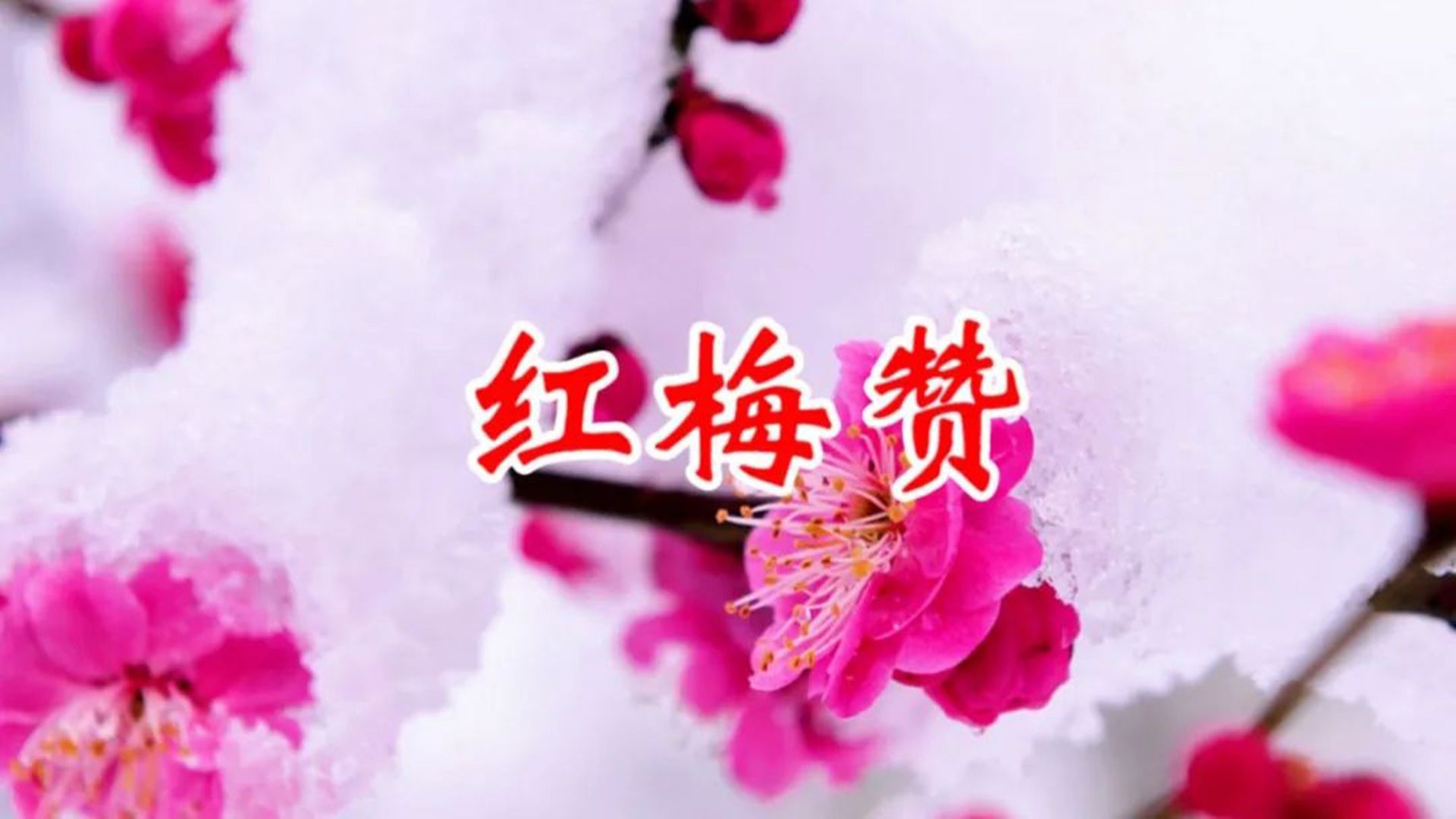 竹笛琵琶曲《红梅赞》,旋律优美悦耳,清净身心