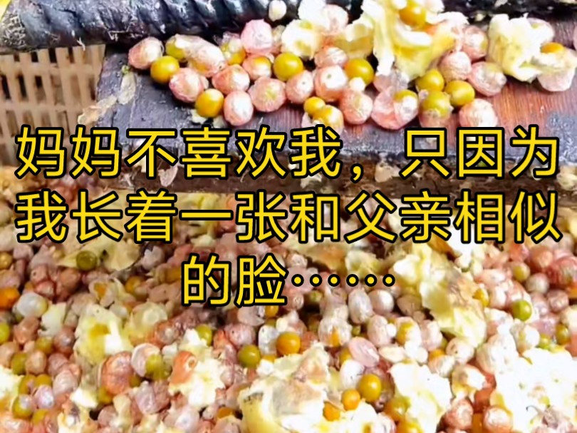 [图]茗《雪炽给钱》