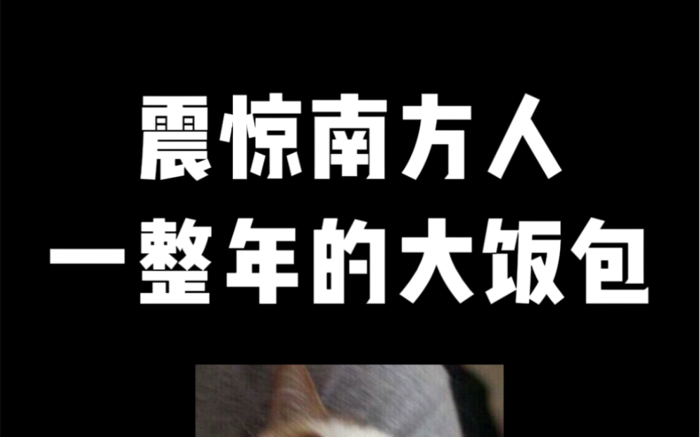 挑战在东北用100元做一个震惊南方人的大饭包!哔哩哔哩bilibili