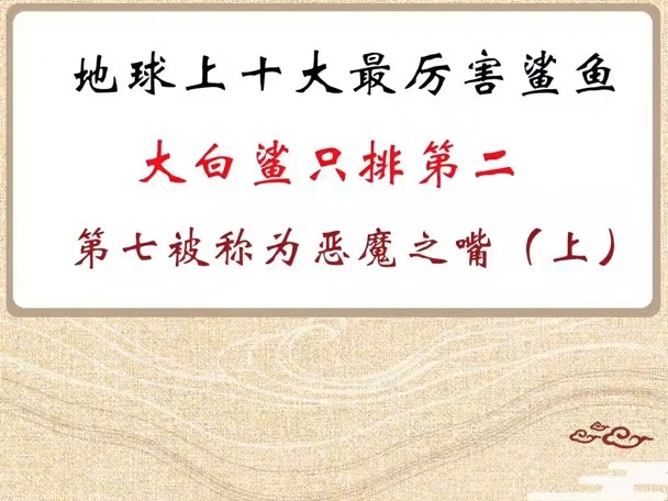 地球上10大最厉害的鲨鱼,大白鲨只排第二,第七被称为恶魔之嘴哔哩哔哩bilibili