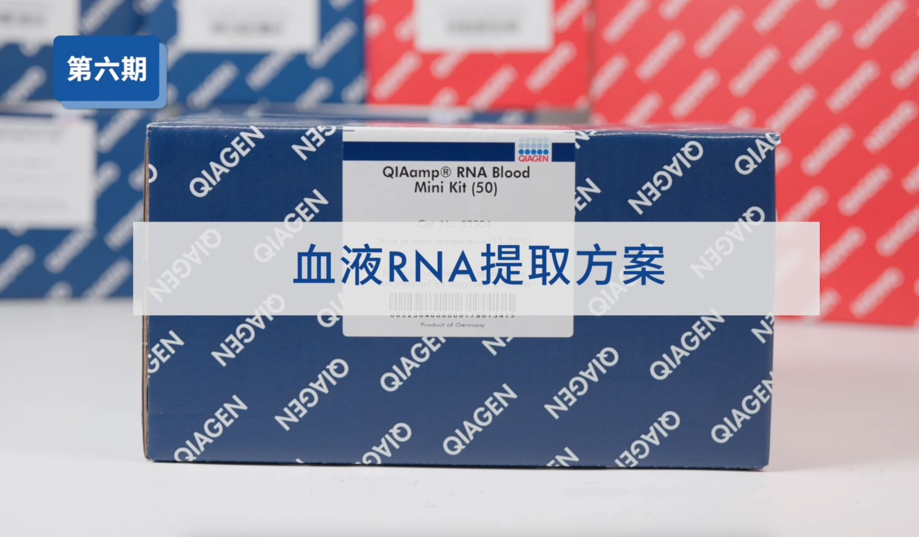 「红与蓝」之血液RNA提取方案
