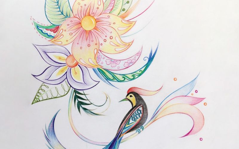 手绘凤尾花70彩铅手绘绘画过程教程