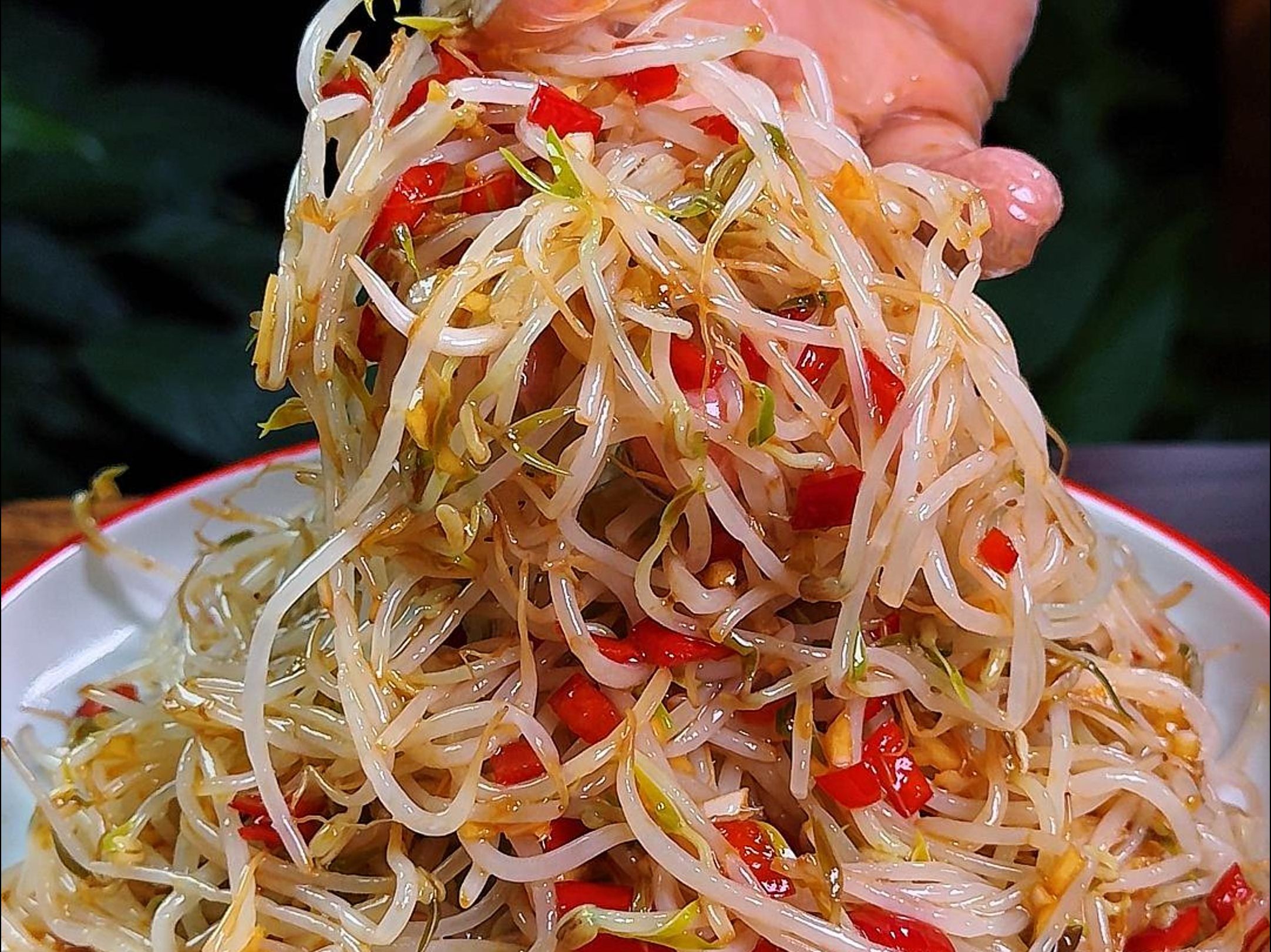 大热天没有胃口你就像我这样做个凉拌绿豆芽