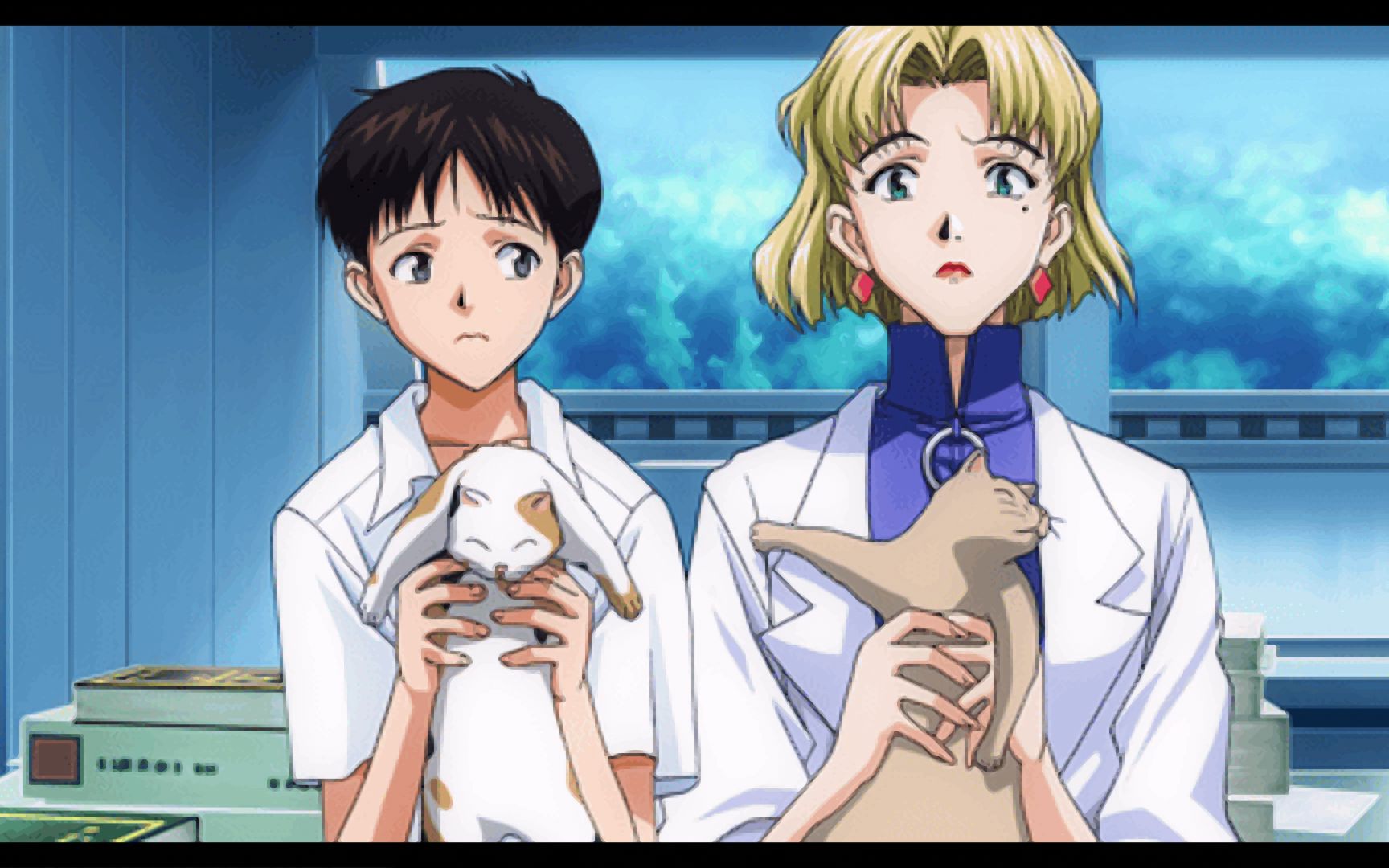 赤木律子不敌真嗣爱宠战法