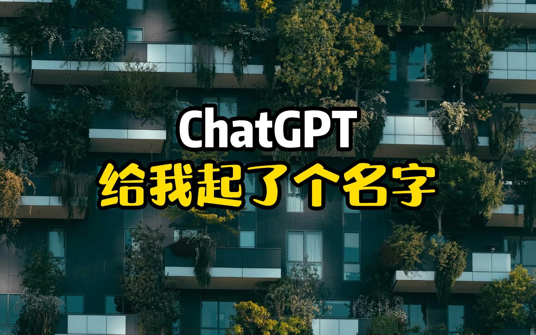 ChatGPT用希腊故事给我起了个名字!哔哩哔哩bilibili