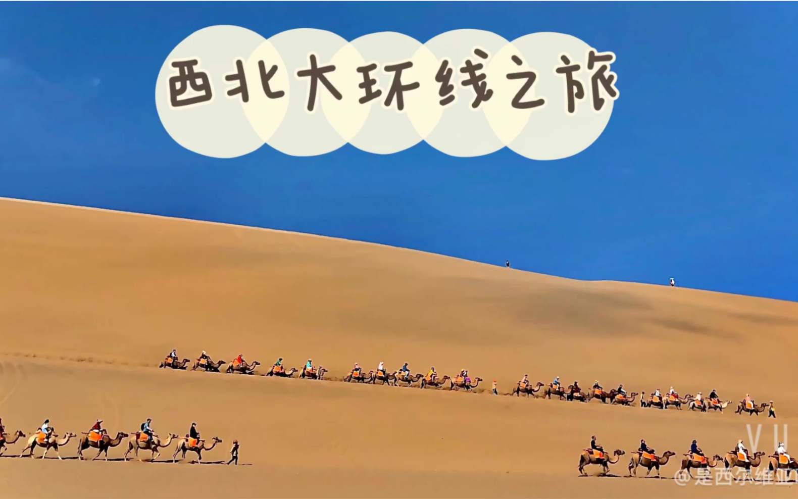 西北大环线自驾游