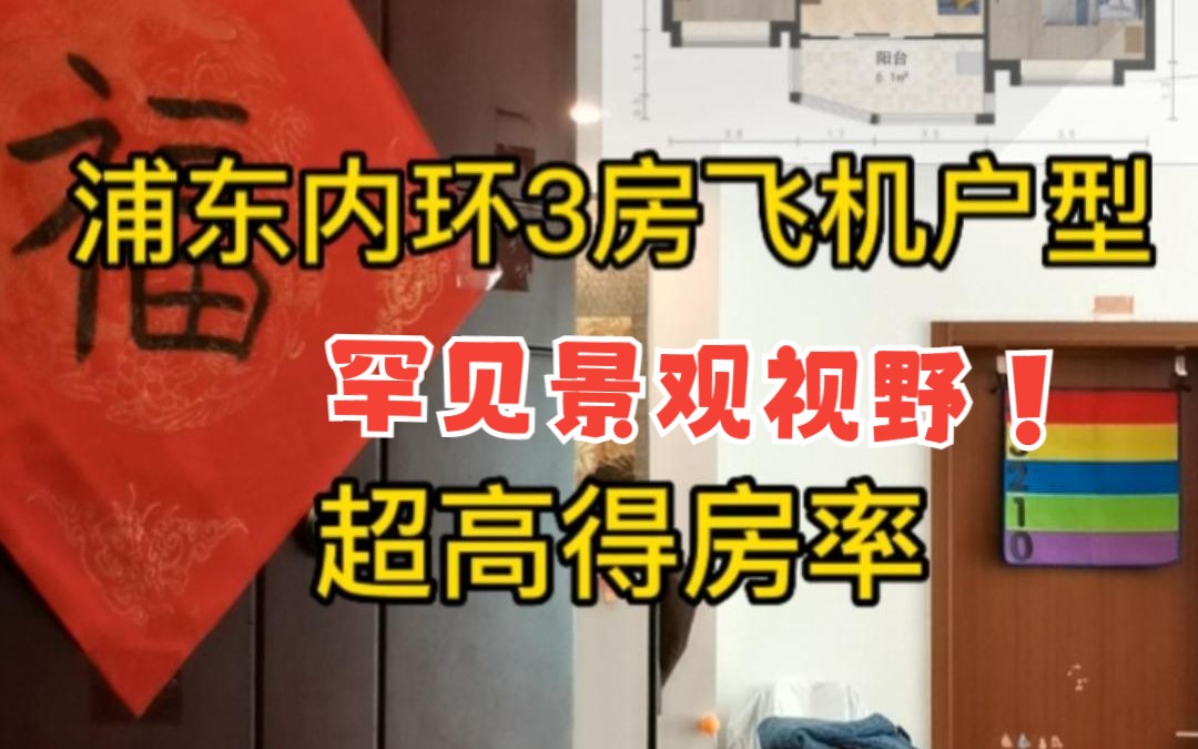 浦东洋泾大户型,稀缺飞机三房户型!房东自信的说:随便侬捉班头!完美接地气!哔哩哔哩bilibili