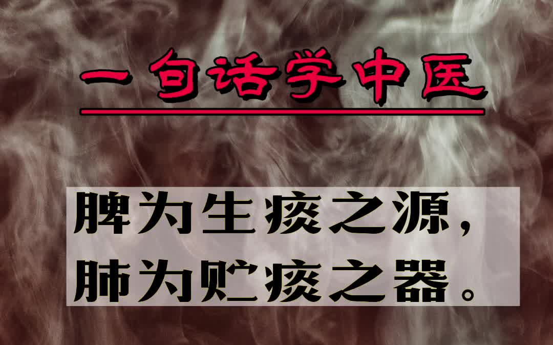 【一句话学中医】 脾为生痰之源,肺为贮痰之器 | 中医名言哔哩哔哩bilibili