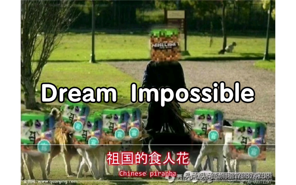 [图]【迷你世界】Dream impossible(原曲：华为手机铃声Dream it possible)