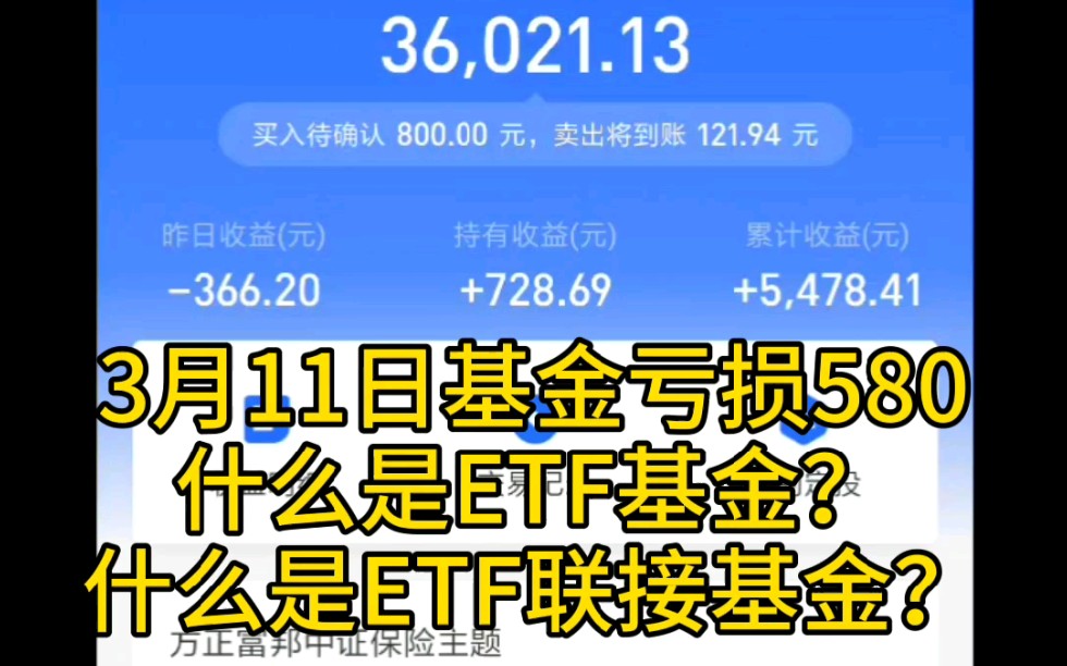 3月11日基金亏损580,什么是ETF基金?什么是ETF联接基金?哔哩哔哩bilibili