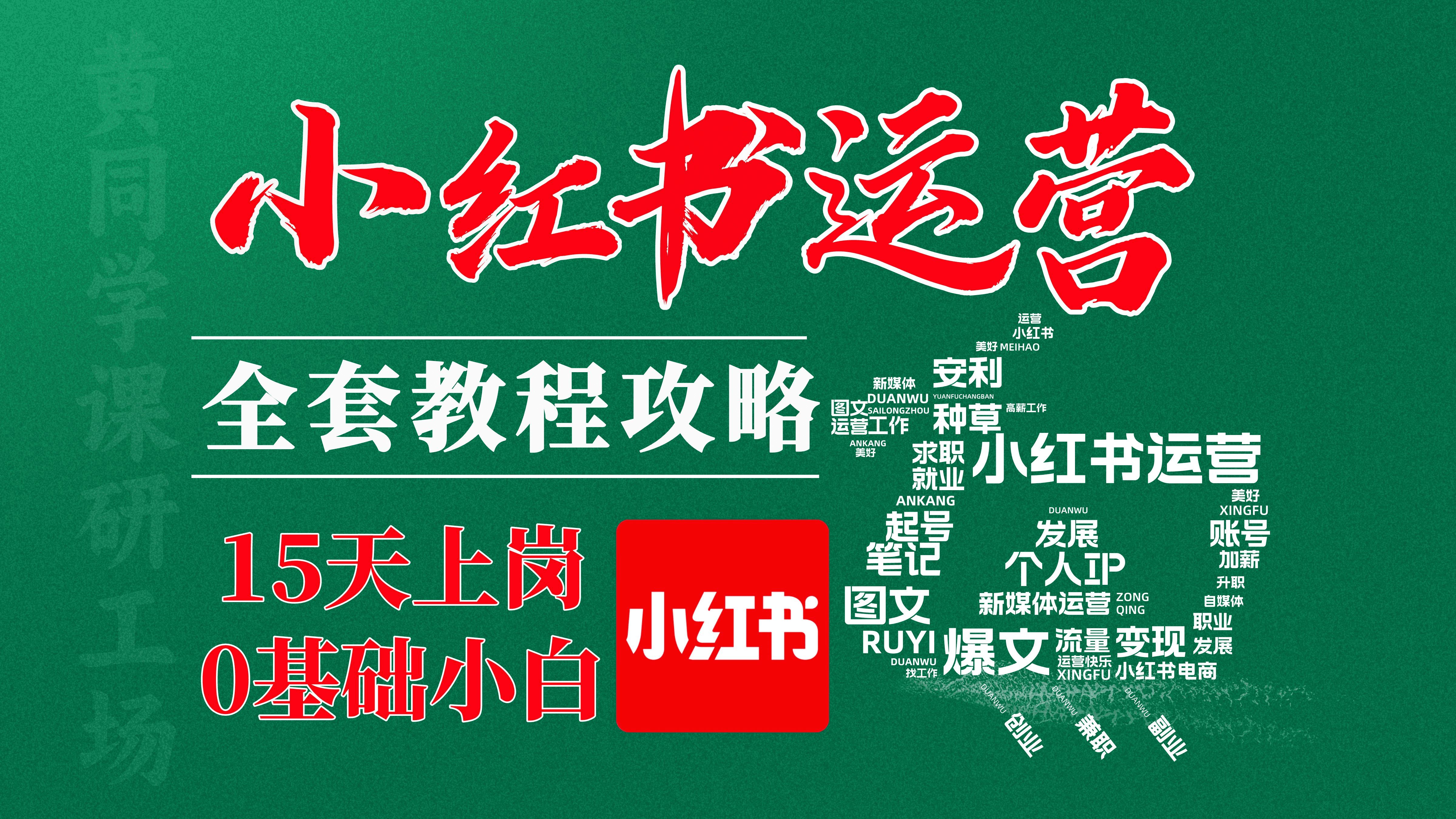 小红书运营课程高薪就业干货!新媒体运营全攻略教程知识!视频号/抖音快手运营/短视频运营/图文笔记/电商/带货直播运营,涵盖所有主流平台账号运营,...