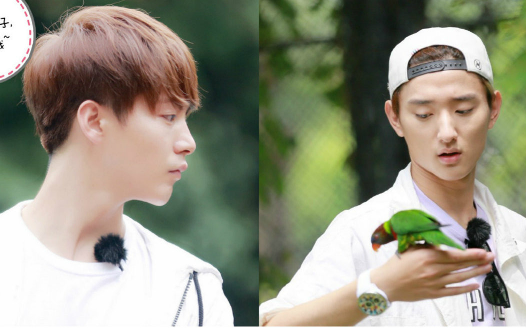 【于小彤x马天宇】年下大法好(吃我安利!