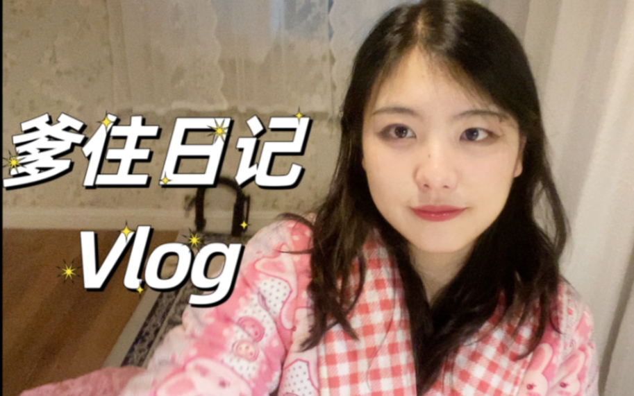 十八般武/厨艺精通的研究生宅家vlog 逛菜市场做饭写论文拼积木哔哩哔哩bilibili