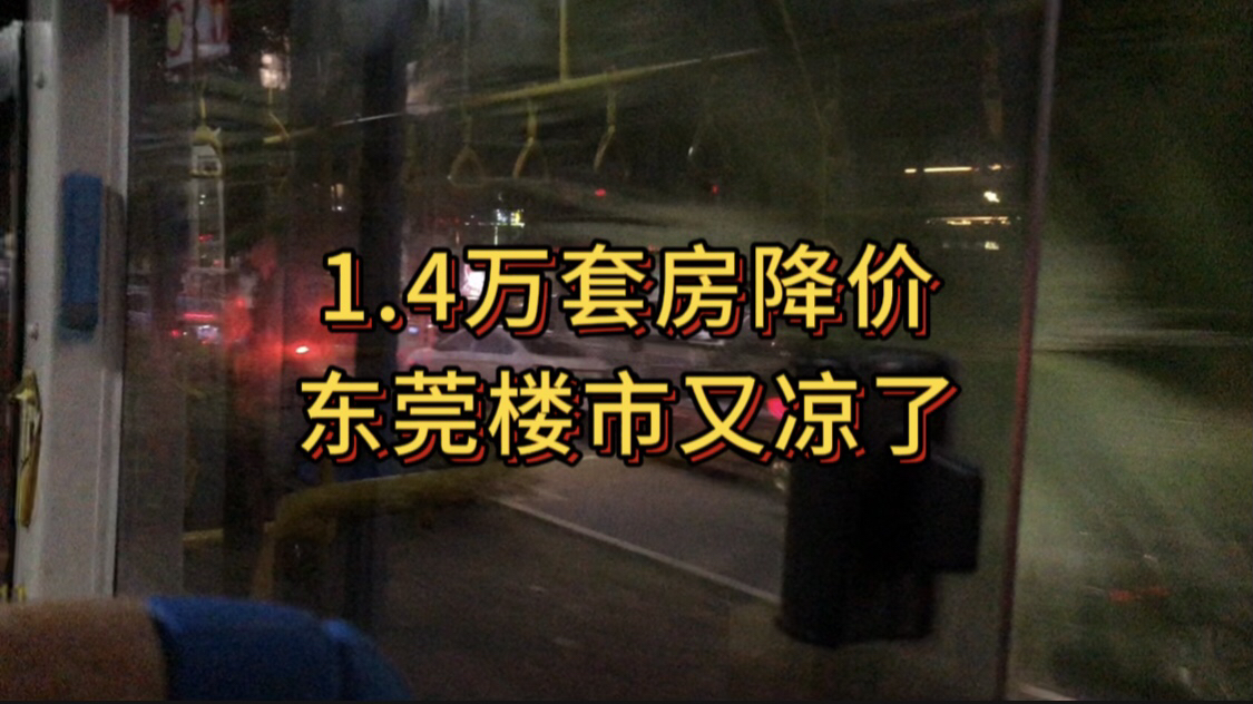 1.4万套房降价,东莞楼市又凉了哔哩哔哩bilibili