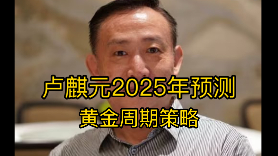 卢麒元黄金策略周期2025年预测哔哩哔哩bilibili